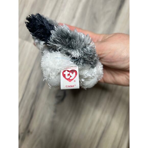 TY CRICKET THE CAT 2.0 BEANIE BABY 6” PLUSH MINI No Tags - Picture 3 of 5